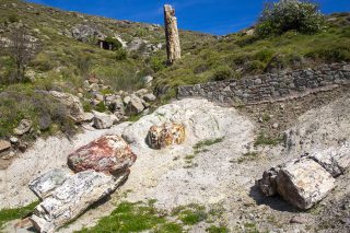 apolithomeno dasos sigri lesvos